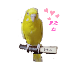 yuka_20231012233147