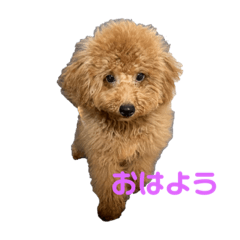 yayoi_20231012232500