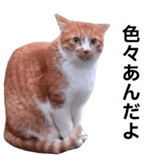 tanaka_20231013083429