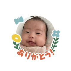 shirayuri_20231013100230