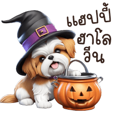 ChiZu Dog Good Halloween !