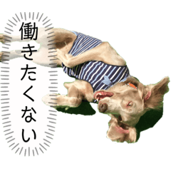 yuka_20231013115340