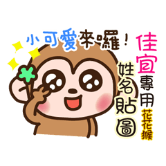 flower monkey please love me 668