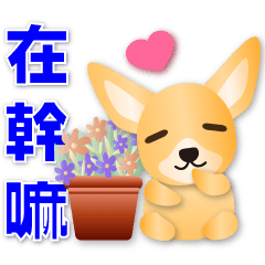 Cute Chihuahua - Practical daily sticker