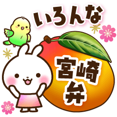 Various Miyazaki dialect/Daily sticker
