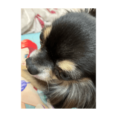 sanae_20231014075610