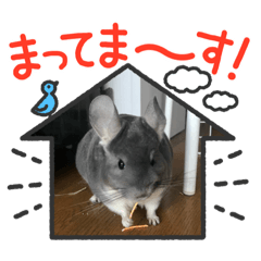 sakura_20231013220924