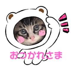 junko_20231014083105