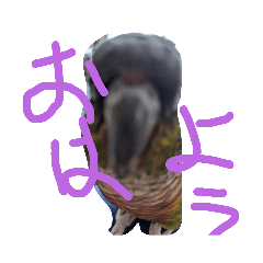tori_20231013190242