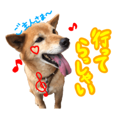 nao_20231014145934
