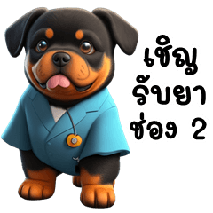 Funny Rottweiler (THAI)