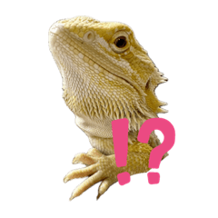 フとあゴ