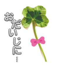 Kana_20231013220140