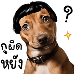 R Hum Thai Dog