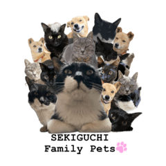 SEKIGUCHI Family Pets