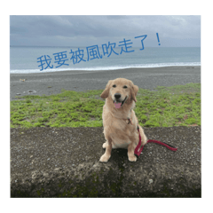 Duffy表情包
