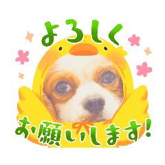 john_20231014183353