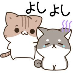 moving unmotivated calico cat & dog2