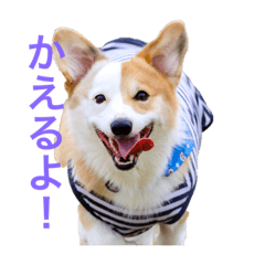 Nao_20231014163321