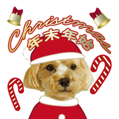 Popout!Maru-chan dog Xmas&Newyear update