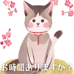 Japanese cute cats23