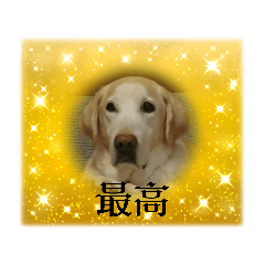 hana_20231014203211