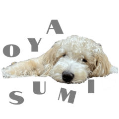 suzu_20231014202716