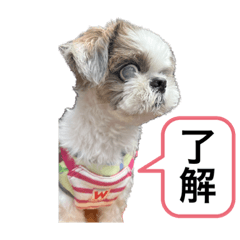 natsumi_20231014222317