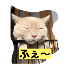 HSK STUDIO_20231015131201