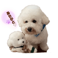 yuka_20231015074444