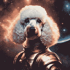 Movement! Toy Poodle in Universe