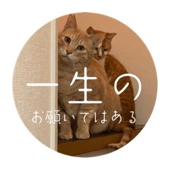 yuka_20231015145643