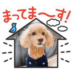 Source_20231015161801