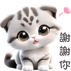 TaoTao cute Kitten