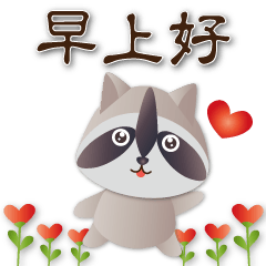 Cute Raccoon-commonly Phrases
