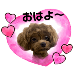 megumi_20231015175011
