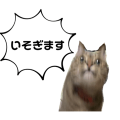 yuka_20231015215857