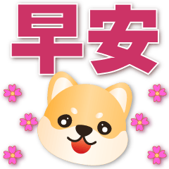 Cute Shiba-Practical greeting sticker*.*