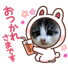 YUKARI_20231015195357