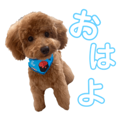 Hikaru_20231015211635