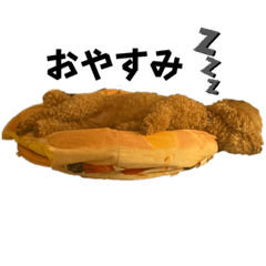 yukari_20231016003422