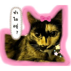 Bb_20231016125315