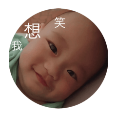 胖木