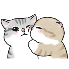 Oba cat11 - cream tabby sticker