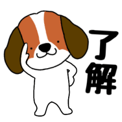 Dog beagle bisuke
