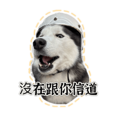 EAGLE之可愛小狗篇