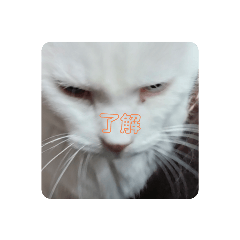 YUKA_20231015223518