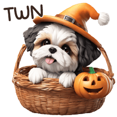 ChiZu Dog Good Halloween [TWN]