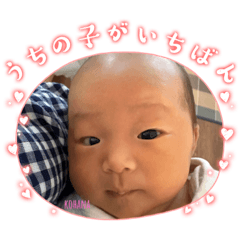 hana_20231016163146