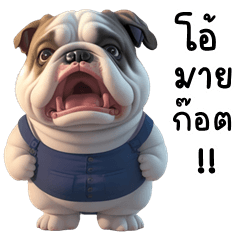 Funny Bulldog (THAI)